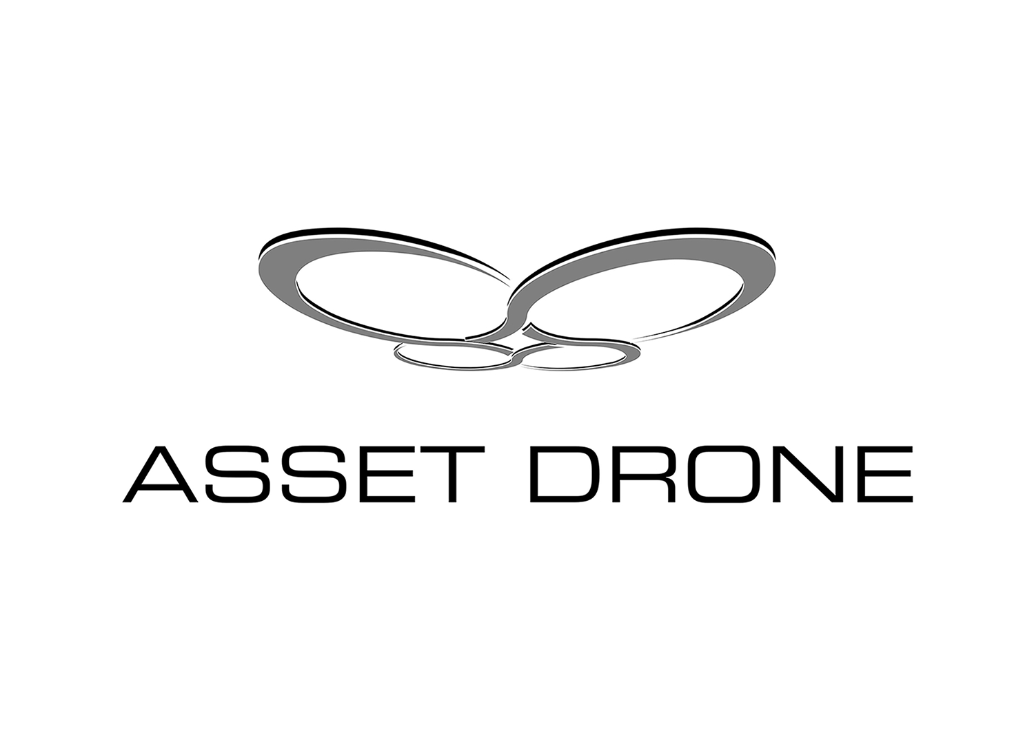 Asset Drone