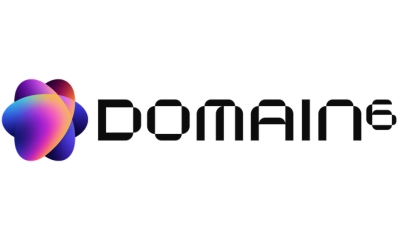 Domain 6